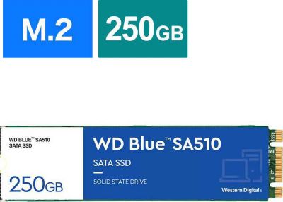 Disque dur SSD interne WESTERN DIGITAL WD Blue SA510 M.2 1 To
