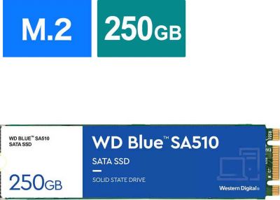 Disque dur SSD interne WESTERN DIGITAL WD Blue SA510 M.2 1 To