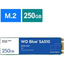 Disque SSD interne WESTERN DIGITAL WD Blue SA510 M.2 1 To