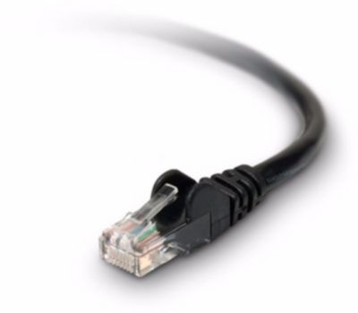 Câble Ethernet BELKIN 1M Droit CAT6 Noir