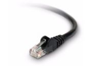 Câble Ethernet BELKIN RJ45 CAT6 1M Noir
