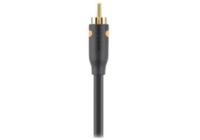Câble RCA BELKIN coaxiale RCA M/M 1M Noir F3Y096bf1M