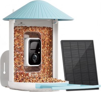 Distributeur de croquettes BIRDFY Birdfy Mangeoire pour Oiseaux avec Camér