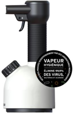 Défroisseur vapeur LAURASTAR Iggi White Reconditionné