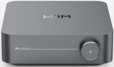 Amplificateur HiFi WIIM amp space grey