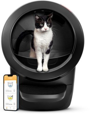 Litière LITTER-ROBOT 4 noire connectée