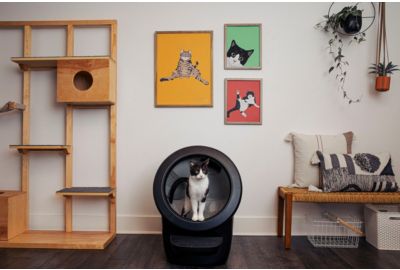 Litière LITTER ROBOT 4 noire connectée