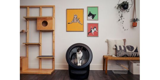 Litière LITTER ROBOT 4 noire connectée