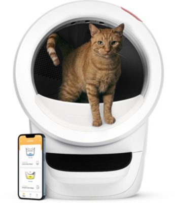 Litière LITTER-ROBOT 4 blanche connectée