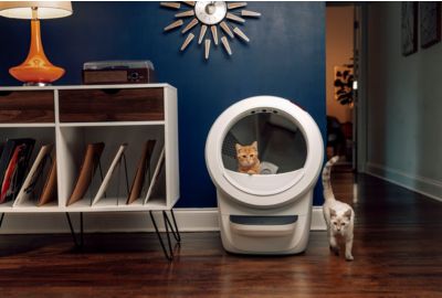 Litière LITTER ROBOT 4 blanche connectée