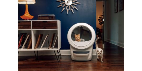 Litière LITTER ROBOT 4 blanche connectée