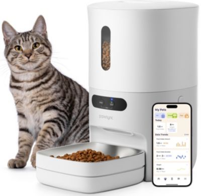 Distributeur de croquettes PAWSYNC Smart Pet Feeder PAWP0001EUN