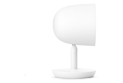 Caméra NEST Cam IQ