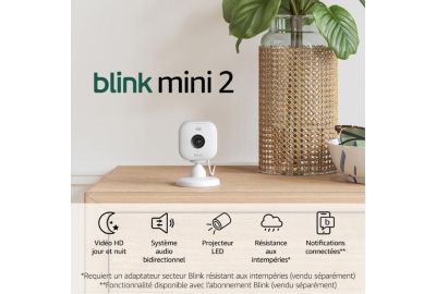 Caméra de surveillance BLINK Pack de 2 Mini 2 - Blanche