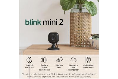 Caméra de surveillance BLINK Pack de 2 Mini 2 - Noire