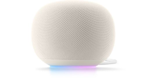 Assistant vocal GOOGLE Home Speaker Porcelaine