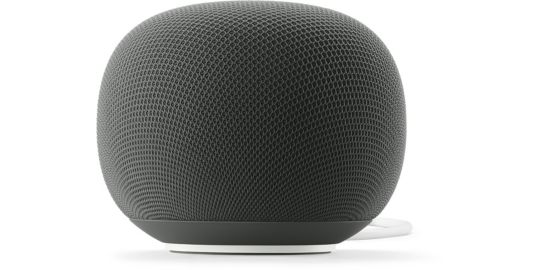 Assistant vocal GOOGLE Home Speaker Vert Sauge