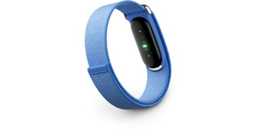 Tracker GOOGLE FITBIT Air Lavande