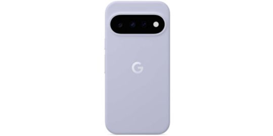 Coque GOOGLE Pixel 11 Givre