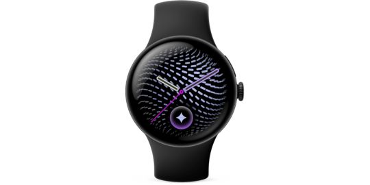 Montre connectée GOOGLE Pixel Watch 5 41mm Noir - Noir
