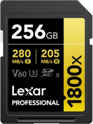 Carte SD LEXAR 247218