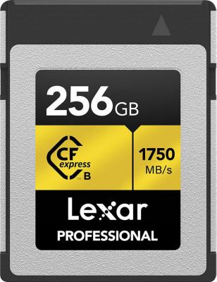 Carte SD LEXAR 251007