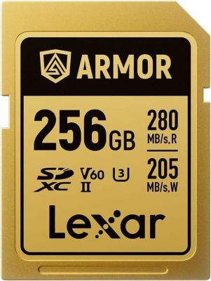 Carte SD LEXAR 253464