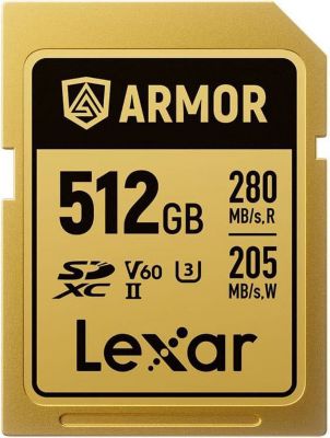 Carte SD LEXAR 253903