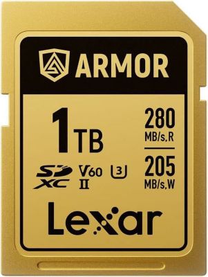 Carte SD LEXAR 253902
