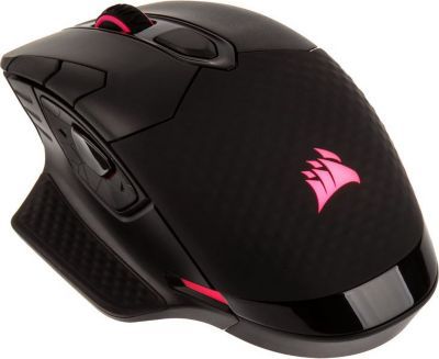 Souris