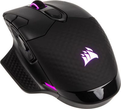Souris