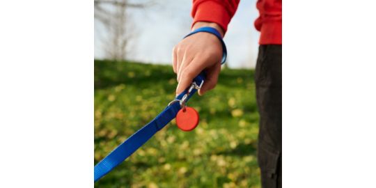 Tracker GPS CHIPOLO POP porte cléfs rouge
