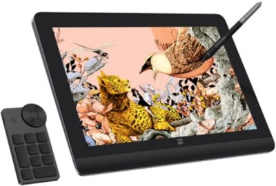 Tablette graphique XPPEN ARTIST PRO 16