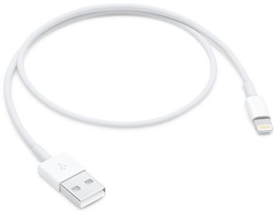 Câble Lightning Blanc Apple Chargeur Iphone 0,5M