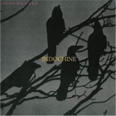 Vinyle SONY MUSIC Indochine - 7000 danses Vinyle SONY MUSIC Indochine - 7000 danses