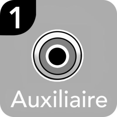 Auxiliaire