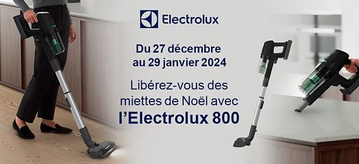 Aspirateur balai sans fil Electrolux Rouge - Achat & prix
