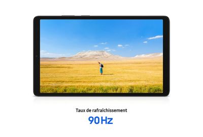 Tablette Apple IPAD Mini 128Go Gris sidéral