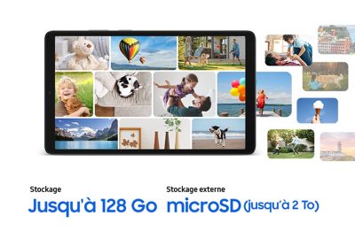 Tablette Apple IPAD Mini 128Go Gris sidéral