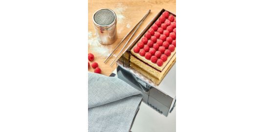 Pince DE BUYER droite de presentation 25cm 4238.25