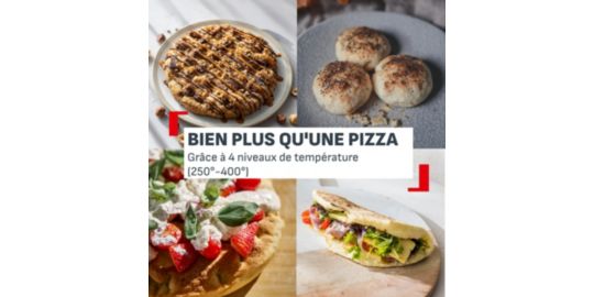 Four à pizza électrique TEFAL Pronto JM600TE0