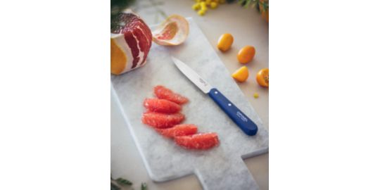 Couteau OPINEL 4 couteaux d