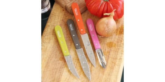 Bloc couteaux OPINEL Les Essentiels Fifties 4 couteaux