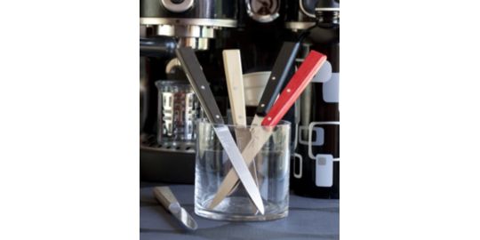 Set de couteaux OPINEL Bon appétit Loft 4 couteaux de table