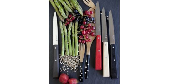 Set de couteaux OPINEL Bon appétit Loft 4 couteaux de table