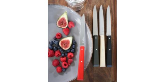 Set de couteaux OPINEL Bon appétit Loft 4 couteaux de table