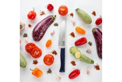 Couteau Chef OPINEL Intempora No218