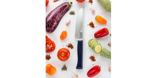 Couteau Chef OPINEL Intempora No218