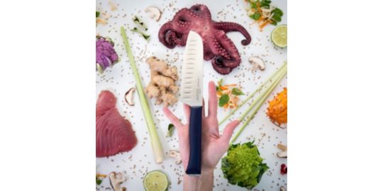 Couteau japonais OPINEL Santoku Intempora No219
