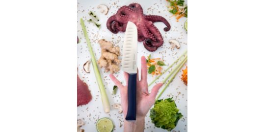 Couteau japonais OPINEL Santoku Intempora No219